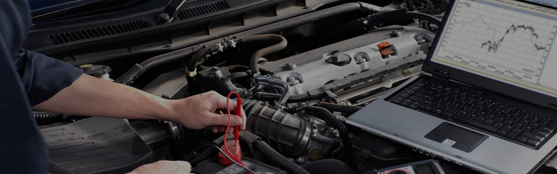 CRANE TO TRAIN, WE DO EVERYTHING